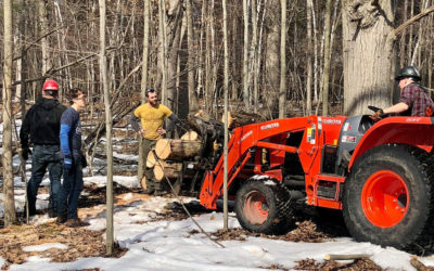 Fantastic Job On Midland Tree Removal Services!