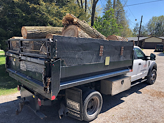 Aztec Tree Service - Tree Removal - Trimming - Pruning - (Your Local Pros)  - Sunnyvale, CA